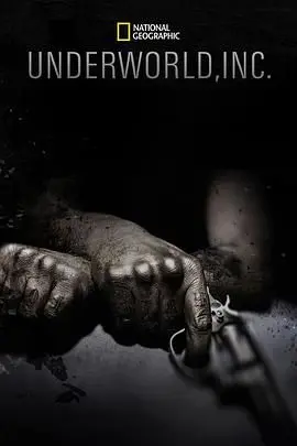 《黑市大企业第一季》：暗流涌动的商战风云，谁是幕后操控者？