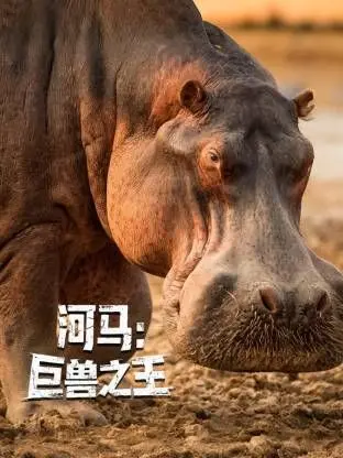 《河马：巨兽之王》：非洲草原的生死狩猎，原始力量的震撼觉醒，巨兽的怒吼震撼来袭！