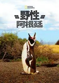 《国家地理 野性阿根廷》：深入潘帕斯草原腹地，体验地球脉搏的野性呼唤！
